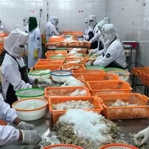 �r���Ҫ�a�^�p�a���°����r�r�ϝq���g�Ӵ�