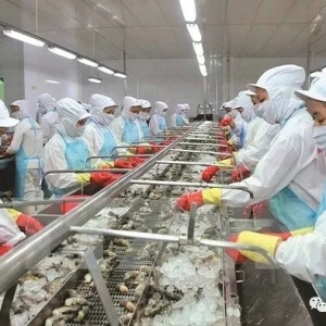 �~(y��)�r�r(ji��)��δ��(l��i)څ��(sh��)��Σ��@�M��(sh��)��(j��)��Ҫ�˽⣡