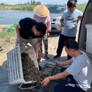 �½��B�r�I�ĬF��