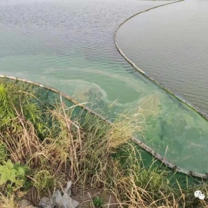 ��ȫ������Bֳ�|�~��������2�f���D��ٍ��ʮ���f��