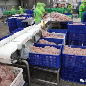 Խ�ϰ�ɳ�~���S��r�q���Ї��͚W��ӆ������