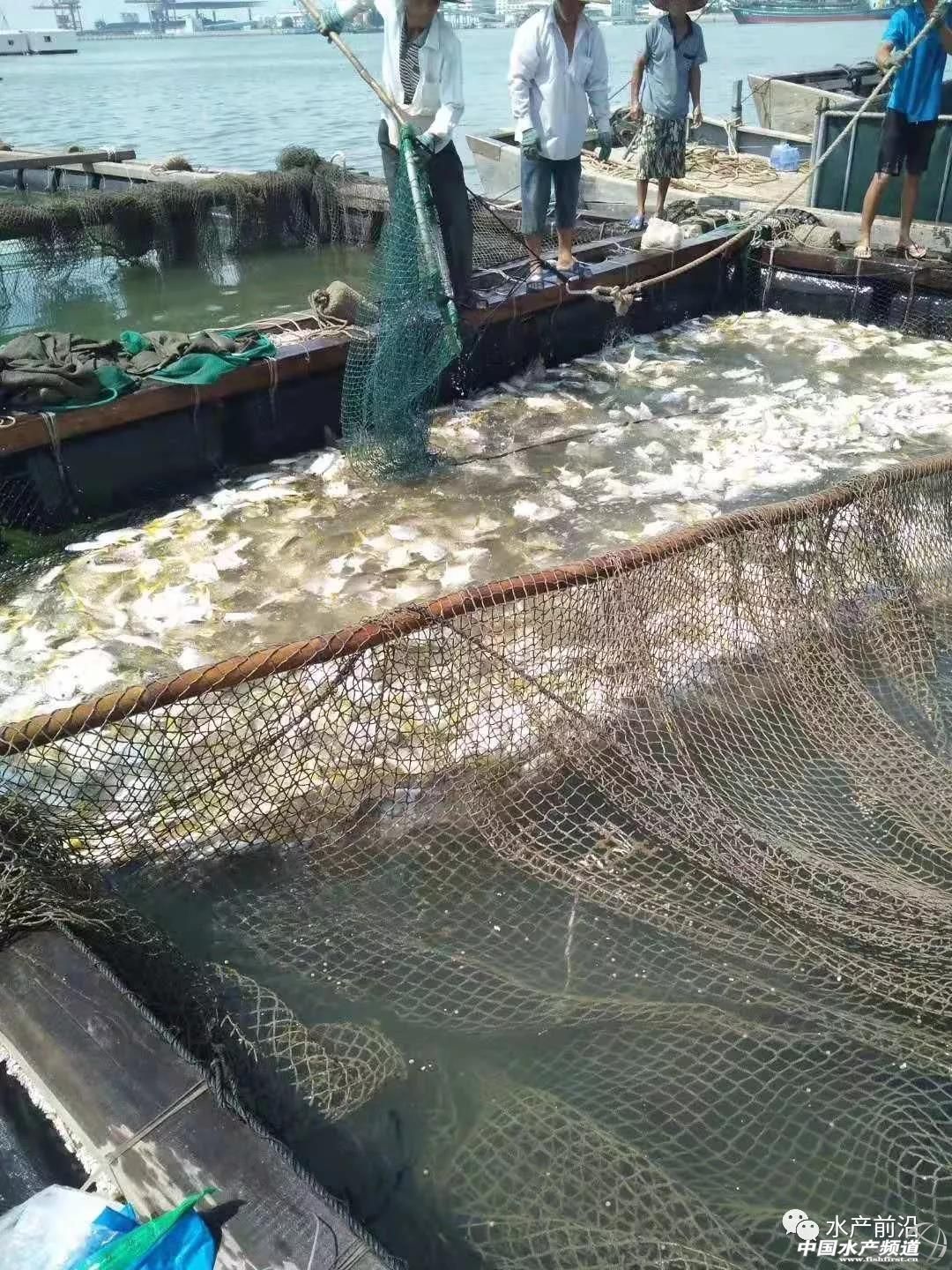 տ��������С���x�����u�����O�š���ˮ�W��ȫ���^���~��