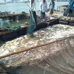 տ��������С���x�����u�����O�š���ˮ�W��ȫ���^���~��