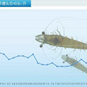 ͬ����30�^���r��r(ji��)���_(d��)7Ԫ����