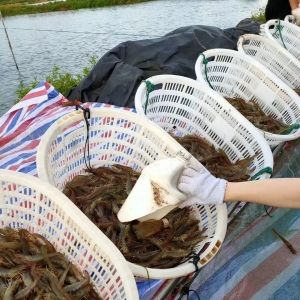 8��21�Շ���(n��i)���r���a(ch��n)�^(q��)�r(ji��)�񲥈�(b��o)�c�������