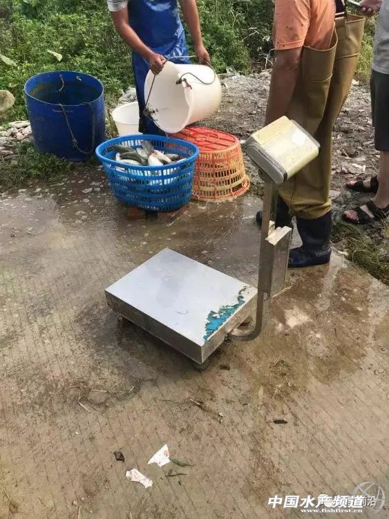 �ߜ��u�~�֪�����ͳ��~�p��