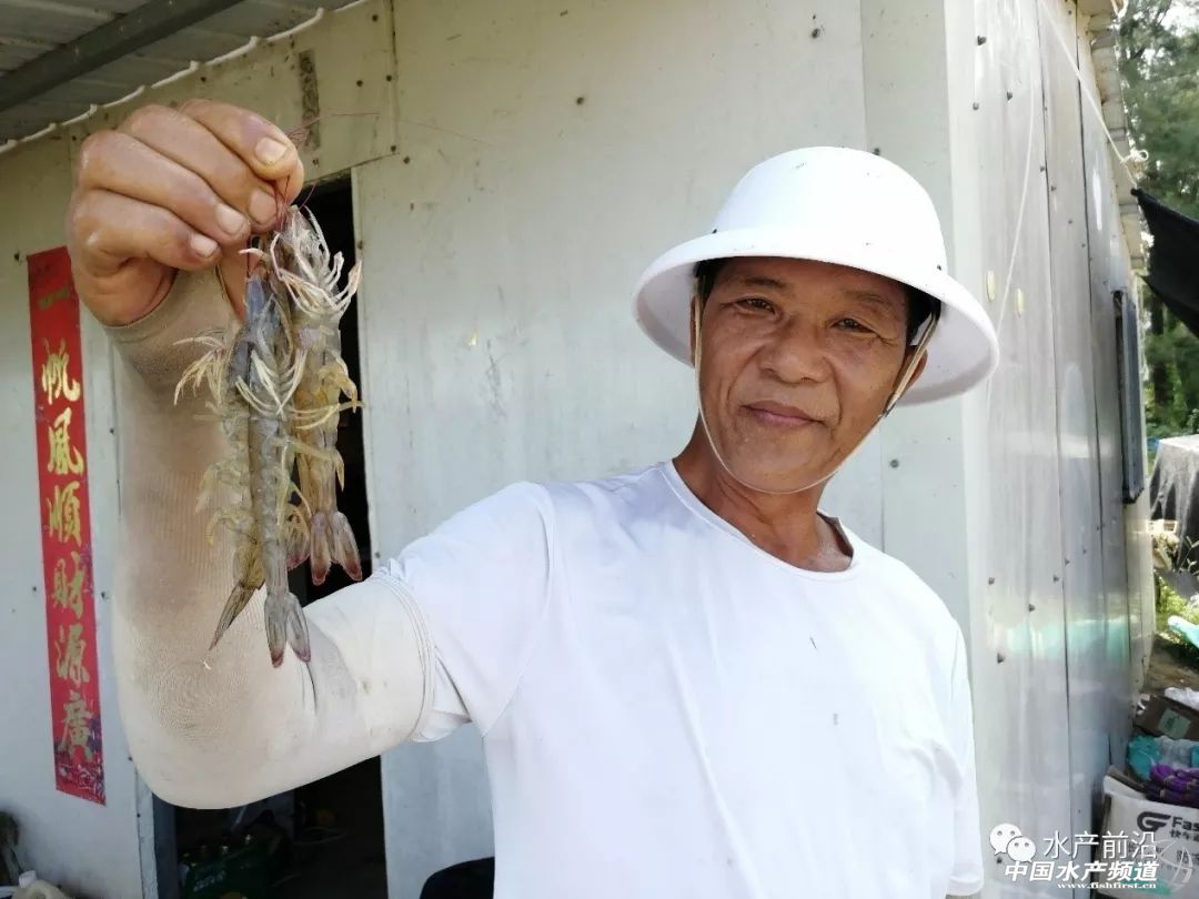 �����A�ң��@���޵�ٍ�X֮������˺��Σ�