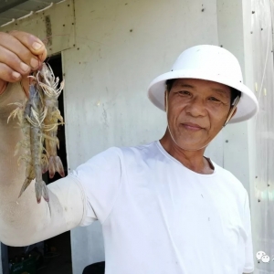 �����A�ң��@���޵�ٍ�X֮������˺��Σ�