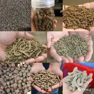 ��������B(y��ng)�Z�~���ȿ���һ���@ЩС֪�R