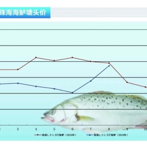 ���|���f�~�����漱�����|�r���ϝq������ˮ�aǰ�ء�2019��9�¿��Ј�څ��