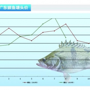 �Z�~�����~���У�һ���±���30Ԫ/�����ˮ�aǰ�ء�2019��9�¿��Ј�څ��