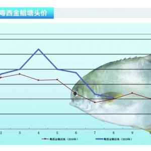 ���K�~���ݝO�Y(ji��)�������K�~�r(ji��)���»�����Ʒ�~�����������ˮ�a(ch��n)ǰ�ء�2019��9�¿��Ј�(ch��ng)څ��(sh��) ...