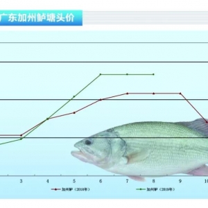 �����|���~�r�����^ɽ܇������q����䡪����ˮ�aǰ�ء�2019��9�¿��Ј�څ��