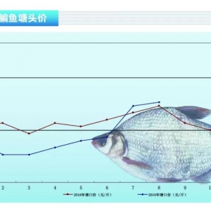 ���~�����f�o�p�B�ӣ��r�����ݷ���������ˮ�aǰ�ء�2019��9�¿��Ј�څ��