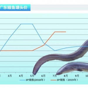 ���~���С����Ј������µ����n���Ј��r��ַ�����ˮ�aǰ�ء�2019��9�¿��Ј�څ��