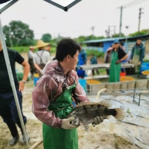 ���m�µ���9��2�ո����Z�~����r