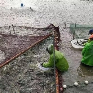 �|�~�B(y��ng)ֳ�D(zhu��n)���ڼ������׽ס��ţ�С��L(f��ng)��