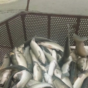 �V�|���~���m(x��)���㣬�Ј���γ��F(xi��n)���~��