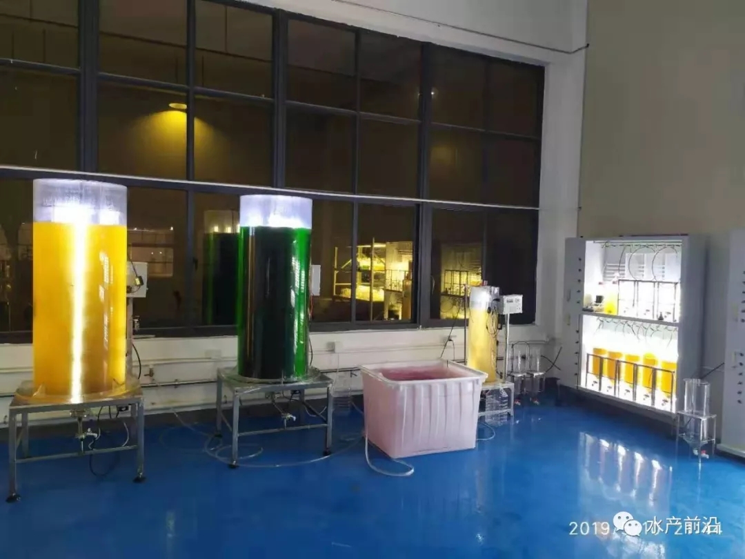 �ӱ������ˣ������S��ؼҡ�������~Ч��