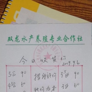 �^�m(x��)���r(ji��)���������+9��6�����d�����ߴ����������R��ɽ��з��(b��o)�r(ji��)���Ϻ������S��(b��o)�r(ji��)��