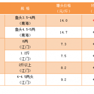 �S��~�����������,�������鿴��