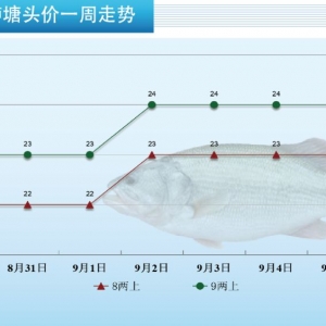 �����|�V�|��q3Ԫ/������R���������ܷ���?z��ng)_һ����