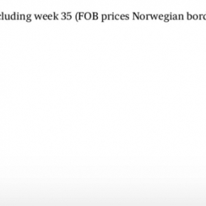 ä�y���������M(f��i)�ߌ������~�ߴ粢�]�����@��ƫ��