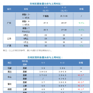 �����N��������L���r��s���q����