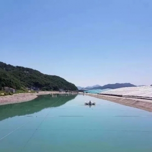 ��һ�ӵĽǶȣ��˽⌦(du��)�r�B(y��ng)ֳ�ɹ������Ҫ��