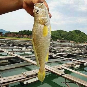 9��17�Ռ��´��S�~(y��)��(b��o)�r(ji��)