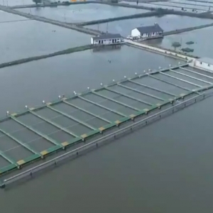 ���u�~800�f���ܵ��~������ҕ