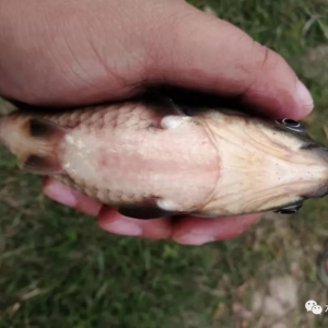 ���У����K�a�~����u��2Ԫһ�