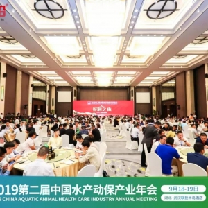 �cٝ��������ˮ�a�ӱ��ˣ������@���ˣ�