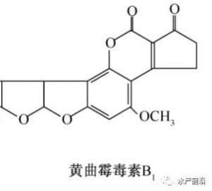 �������������}���򻯚䡢�嶾���϶�...���ر�������