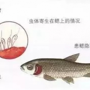 �ղأ���ȫ�~����x�D�V�����ش�ʩ