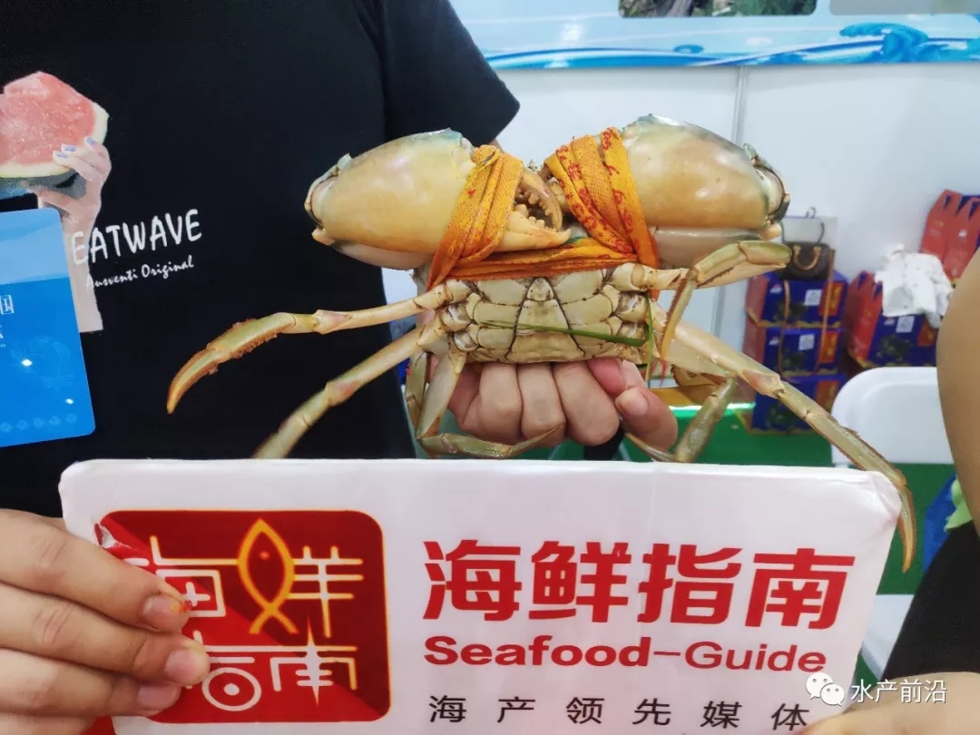 ȫ����з��Č��Ҽ���I(y��)���R�ۡ��Ї���з֮�l(xi��ng)�����T�h�����\�Ї���з�l(f��)չδ��