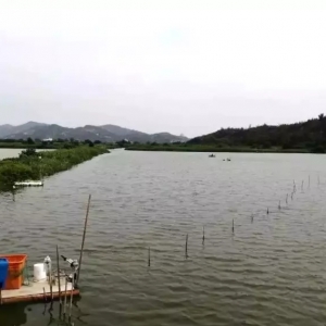 ���ǌ�(du��)�r�B(y��ng)ֳ����:�Hһ����ٍ�X��