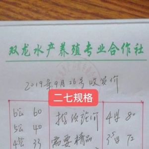 �d��ƽ�����ߴ��ԝq��9��26�ո��س�з��r��