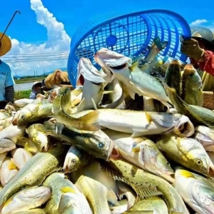 �Ј�һƬ�t�𣬺��|���~�f�~һ�R�ϝq��