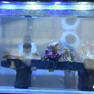 180����I�������@ЩչƷ�������Ƿ��������l��