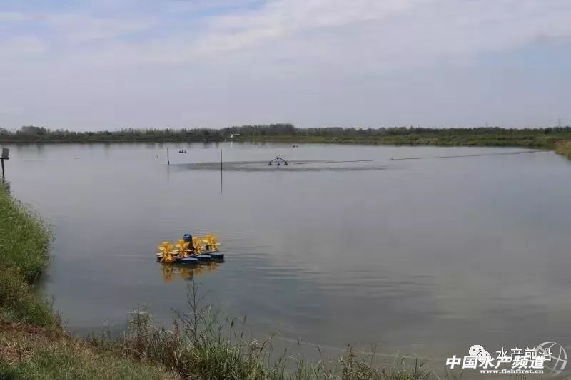 ��ˮ�YԴ�S�����в��Ј����Bֳ�������ĸ�׃