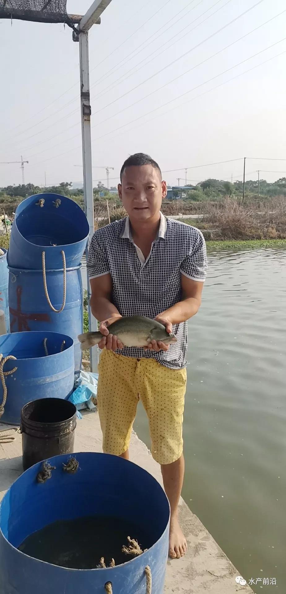 ���Bֳʧ�`�´������~�s�ܮ���ٍ�^�f����