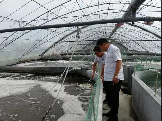 7���˶�ٍ�X�����S���B�rԭ�������@����