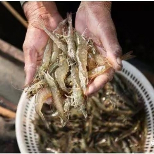 ���r�r�񱩝q�ֱ����������ǌ��r�Ј�����