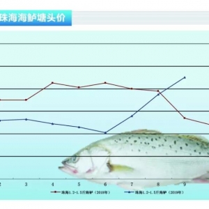 ���|�����~�_�P�r���@�G,�r��ȫ���ϝq������ˮ�aǰ�ء�2019��10�¿��Ј�څ��