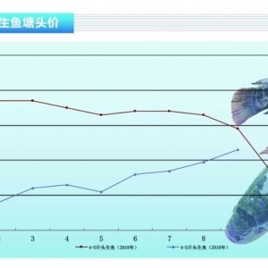 ���~���B(y��ng)ֳ���đB(t��i)��,�~�r��(w��n)���ϝq�����п��ڡ�����ˮ�a(ch��n)ǰ�ء�2019��10�¿��Ј�څ��