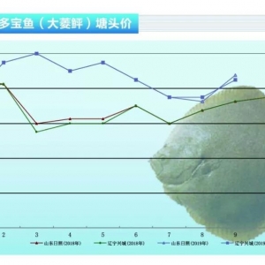 �����~�������~ȱ؛,�r�񌢴���ϝq������ˮ�aǰ�ء�2019��10�¿��Ј�څ��