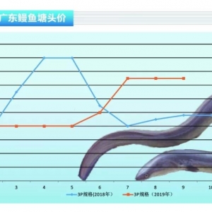 ���~������������r���ϝq������ˮ�aǰ�ء�2019��10�¿��Ј�څ��