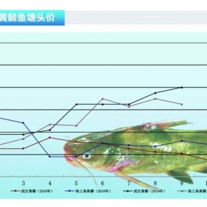 �S��~�����~���������ߣ����^�r�����lչ������ˮ�aǰ�ء�2019��10�¿��Ј�څ��