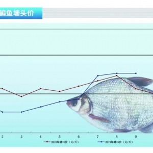 ���~�������o�r���߄�ƽ��������ˮ�aǰ�ء�2019��10�¿��Ј�څ��